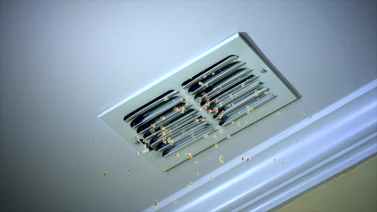 Best Best Air Duct Cleaning Company  in Filer, ID